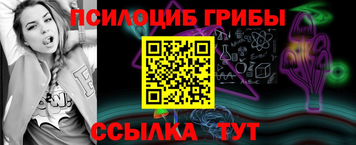 Галлюциногенные грибы MAGIC MUSHROOMS  Вход с VPN  Великий Новгород 